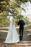 Groom and bride in the forest. Autumn wedding in the forest. Happy wedding, couple in love humming in the forest. Stylish and beautiful. Photo from the back. Princess dress with a long train.