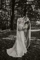 Groom and bride in the forest. Autumn wedding in the forest. Happy wedding, loving couple tender touches under the veil. Stylish and beautiful. Princess dress with a long train. black and white photo