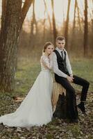 Boda foto en naturaleza. el novio se sienta en un de madera pararse, el novia soportes siguiente a a él, propensión en su hombro. retrato de el novia y novio