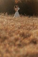 amoroso Pareja en el montañas. bodas en el montañas. espalda ver de el recién casado Pareja en pie en el montañas y disfrutando el paisaje. foto