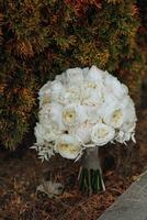 a bouquet of white roses tied with a ribbon. An incredible wedding bouquet. White roses. Beauty is in the details photo