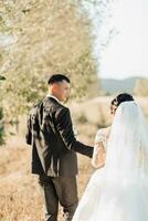 A wide-angle portrait of a bride and groom walking across a field against the backdrop of mountains. Rear view. A wonderful dress. Stylish groom. Wedding photo in nature