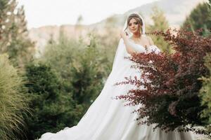 Portrait of the bride in nature. A brunette bride in a white long dress with open shoulders and a veil, posing near a mahogany tree. Beautiful curly hair and makeup. A young girl photo