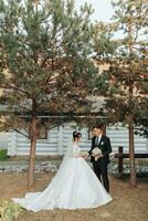 Wedding portrait in nature. The brunette bride and groom in a white long dress are standing, holding hands against the background of conifers and a white hut. Stylish groom. photo