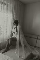 Portrait of the bride. A brunette bride is sitting on a nude sofa in a robe and a long lace veil, posing. Gorgeous make-up and hair. Wedding black and white photo. Beautiful bride photo