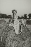 Portrait of a young girl. A girl in a blue dress sits on top of hay bales - high quality photo. Long straight hair. Nice color. Summer. Portrait photo