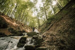 el novia es participación su vestido, él es participación su mano. novio y novia. Boda foto sesión en naturaleza. foto sesión en el bosque de el novia y novio. amplio ángulo