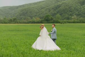 Wide-angle portrait of the bride and groom walking on a green meadow against the background of mountains. Rear view. Magnificent dress. Stylish groom. Wedding photo