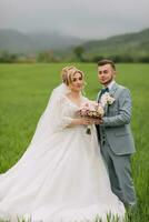 The newlyweds stand in a green field and pose. The bride is holding a bouquet. Wedding in nature. Portrait of the bride and groom. Stylish groom photo