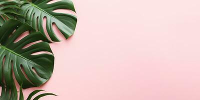 AI generated flat lay, monstera leaves on a pink background. tropical leaf border with space for text photo