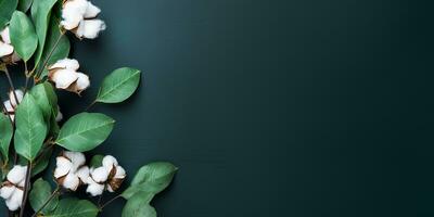 AI generated flat lay with eucalyptus branches and cotton flowers on a dark background. aesthetic frame of eucalyptus leaves, border photo