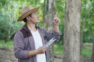 Asian man botanist is inspecting trunk of tree in forest to analysis and research about growth of tree. Concept, forest valuation. Conservation of environment. Survey botanical plants. photo