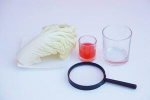 Equipment prepared for doing science experiment. Cabbage leaf, red color substance, glass and magnifying glass. Concept, science lesson activity. Easy experiment for learn photo