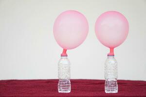 Two pink balloons on top of bottles. Concept, science experiment about reaction of chemical substance, vinegar and baking soda that cause balloon inflat. Last step of experiment photo