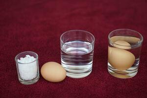 Close up science experiment about eggs in water, compare the density by adding salt into water, soak eggs in transparent glass. Concept, easy science activity for learning , studying lesson. Education photo