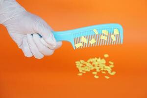 Comb and small pieces of paper. Equipment, prepared to do experiment about static electricity. Orange background. Concept, Science lesson, fun and easy experiment. Education. Teaching aids. photo