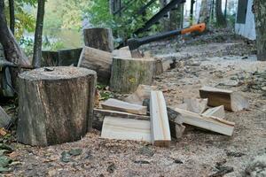 chopped firewood logs, wooden logs, axe, rural autumn landscape photo