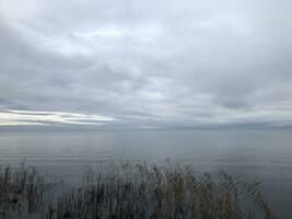 cloudy foggy morning, low dark clouds, horizon over the sea, sedge on the shore photo