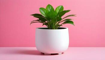 AI generated A potted plant sitting on top of a table photo