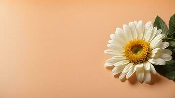 AI generated Lonely chamomile flower on a peach background. Flat lay photo