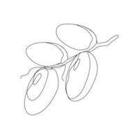 Continuous one line drawing of dates palm fruit. Vector illustration.