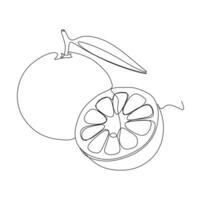 Continuous one line drawing of fresh orange fruit isolated on white background. vector