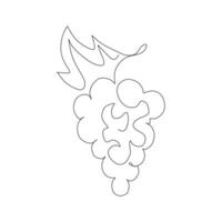 Continuous one line drawing of a bunch of grapes. Vector illustration