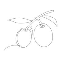 Continuous one single line drawing of two olives on branch vector