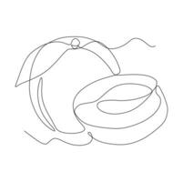 Continuous one line drawing of coconut fruit. Vector illustration on white background.