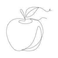 Continuous one line drawing of apple. Single line art fruit. vector