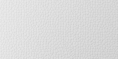 Soft light white abstract modern background. photo