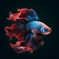 AI generated Beautiful Siamese Fighting Fish. Close Up of Betta Fish Isolated on Black Background. Generative AI photo