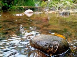 un cerca arriba de rocas y agua en un corriente foto