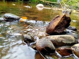 a close up of rocks and water in a stream photo