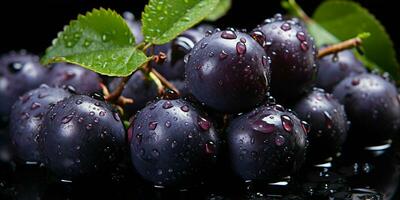 AI generated Fresh Acai Berry with Water Droplets Isolated on a Black Background. Euterpe oleracea. Generative AI photo