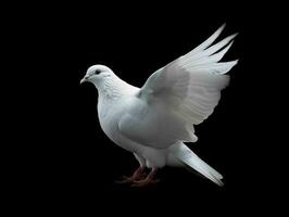 AI generated Beautiful White Dove Flapping Its Wings Isolated on Black Background. Generative AI photo