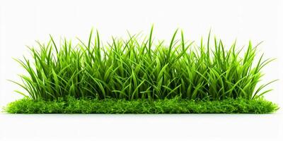 AI generated Fresh Green Grass Isolated on White Background. Generative AI photo