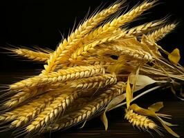 AI generated Yellow Wheat Ears Isolated on Black Background. Wheat Grains. Generative AI photo