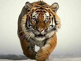 ai generado retrato de un feroz Tigre corriendo terminado el lodo. generativo ai foto