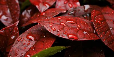 ai generado Fresco rojo hojas con agua gotas. cerca arriba de hoja con gotas de lluvia. generativo ai foto