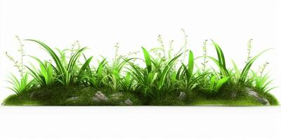 AI generated Fresh Green Grass Isolated on White Background. Generative AI photo