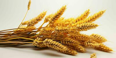 AI generated Close up of Wheat Ears Isolated on White Background. Wheat Grain. Generative AI photo