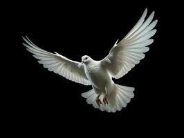 AI generated Beautiful White Dove Flapping Its Wings Isolated on Black Background. Generative AI photo