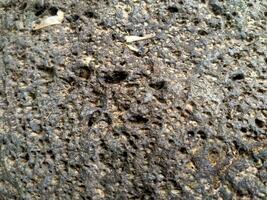 a close up of a rock with a hole in it photo