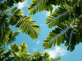 AI generated Exotic Tropical Leaves Background with Copy Space in The Center. Generative AI photo