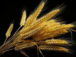 AI generated Yellow Wheat Ears Isolated on Black Background. Wheat Grains. Generative AI photo