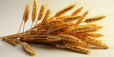 AI generated Close up of Wheat Ears Isolated on White Background. Wheat Grain. Generative AI photo