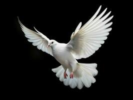 AI generated Beautiful White Dove Flapping Its Wings Isolated on Black Background. Generative AI photo