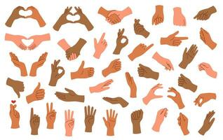 Hands set different skin tones vector