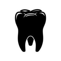 Molar teeth vector isolated white background.